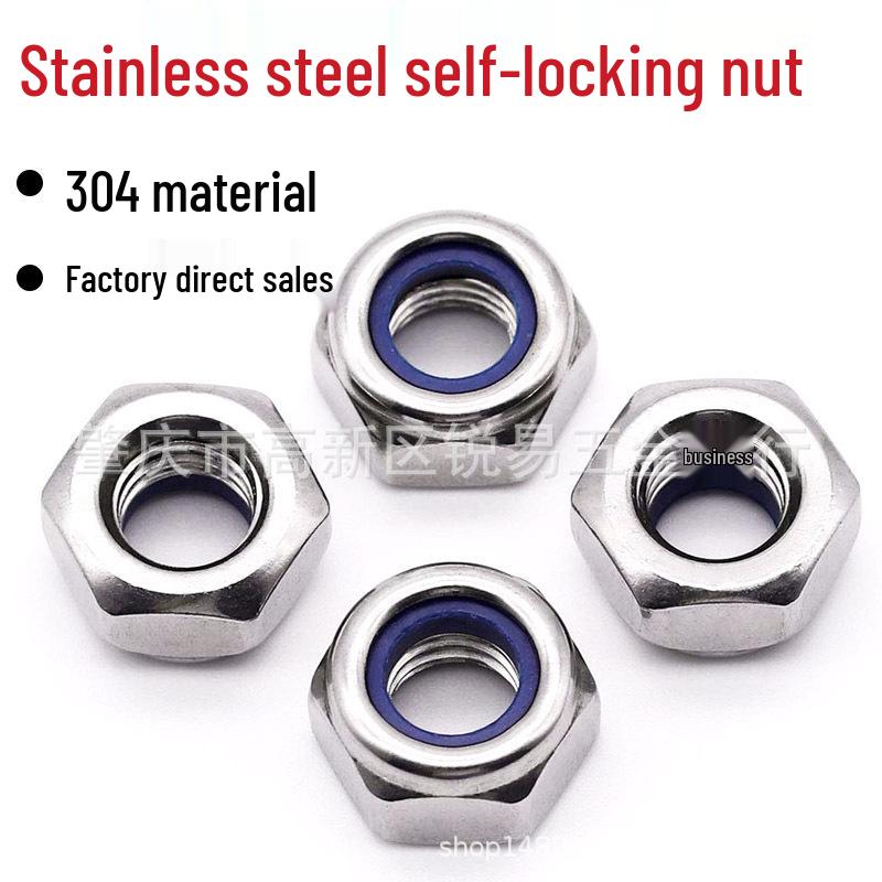 304 Stainless Steel Nylon Insert Self-Locking Hex Nut (M2-M12)