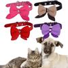 Stylish Bowtie Pet Collar In Vibrant Colors For Cats And Dogs With Adjustable Size
