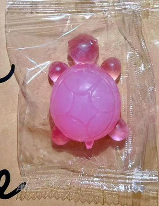 Handmade Multi-color Turtle Essential Oil Soap for Face and Hand Wash