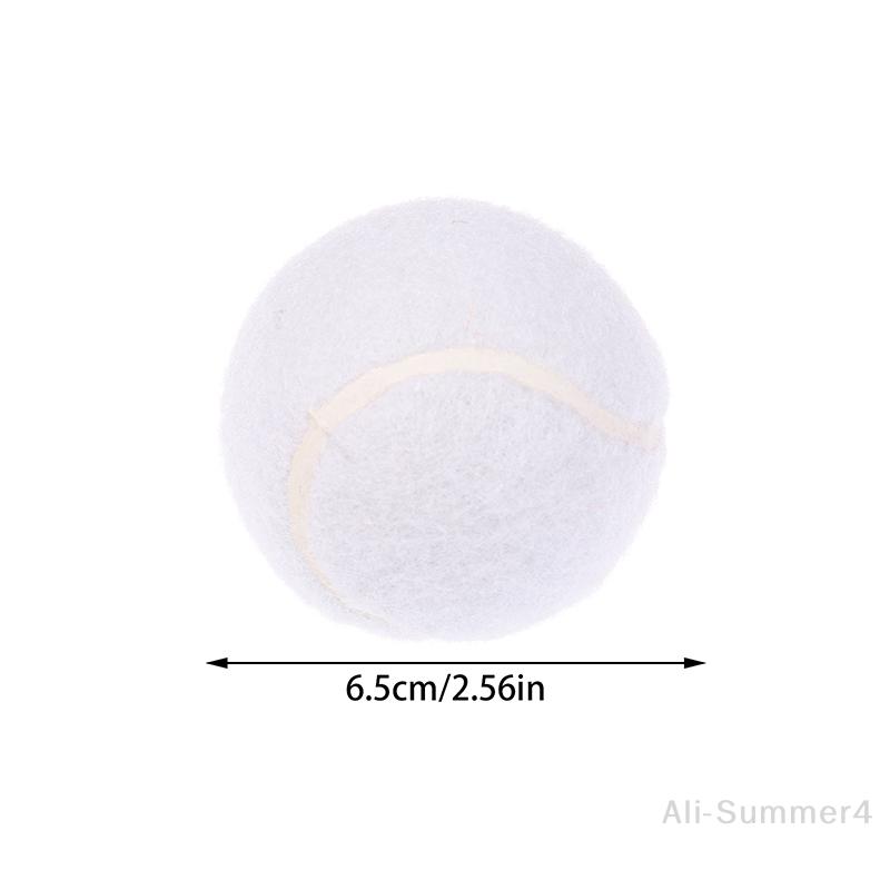 1/3 Stück Tennisbälle Verschleißfest Hochelastisch Trainingsbälle 65MM Damen Anfänger Langlebiger Übungs-Tennisball für Verein