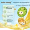 Safeguard Soap & Runben Mosquito Patch Value Pack