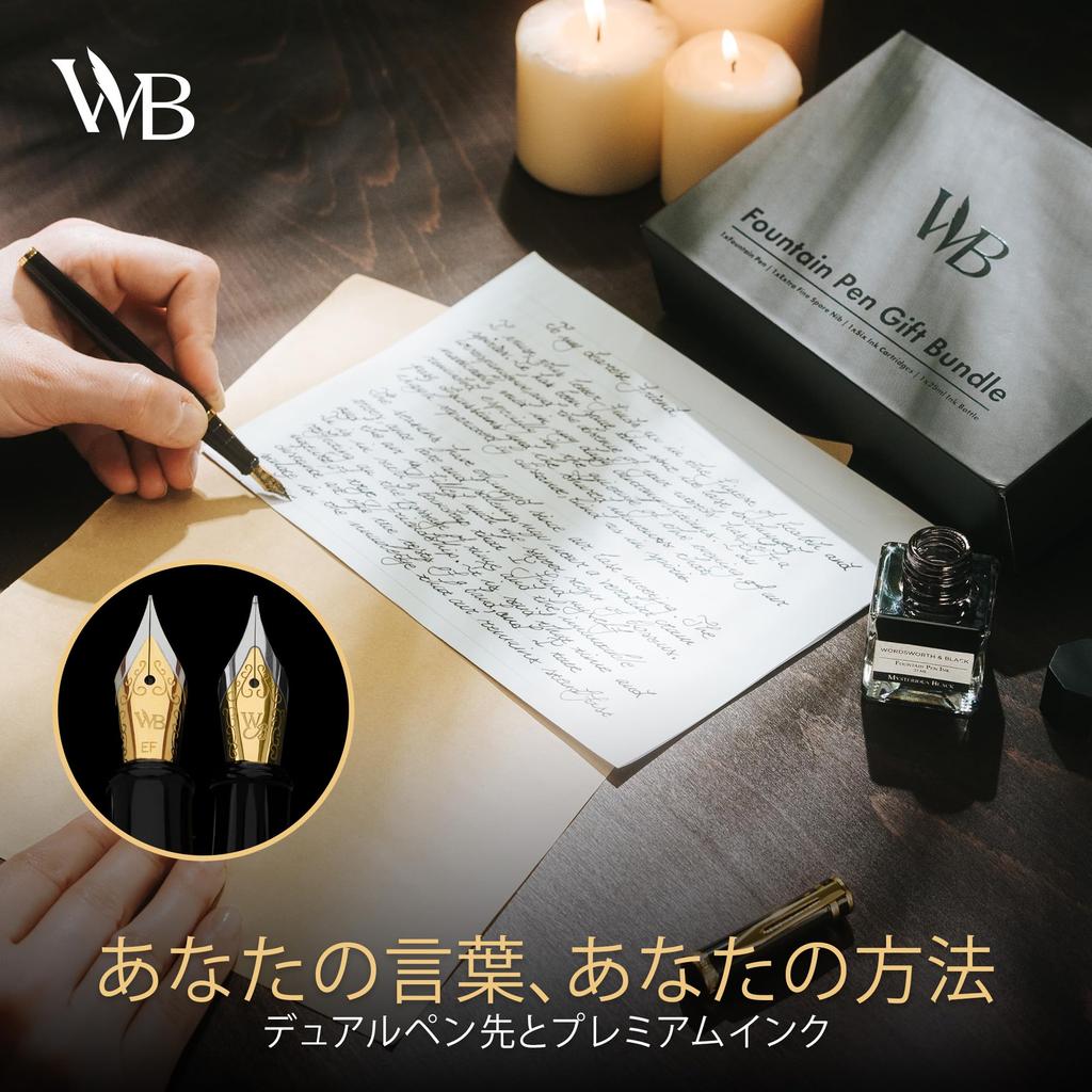Wordsworth Black Fountain Pen Set with 18K Gold Medium and Extra Fine 25ML Black Ink 6 Ink Ink Refill Gift Pen Gift for Men and Women & Nibs, Bottle,