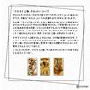 CBD Tarot De Marseille Tarot Fortune Telling Method with Japanese Instruction Manual Authentic Tarot Cards 78 Sheets