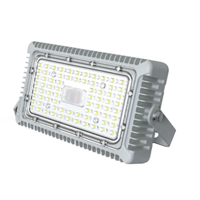 SEVA SZSW7176-50 50W LED Pathway Light