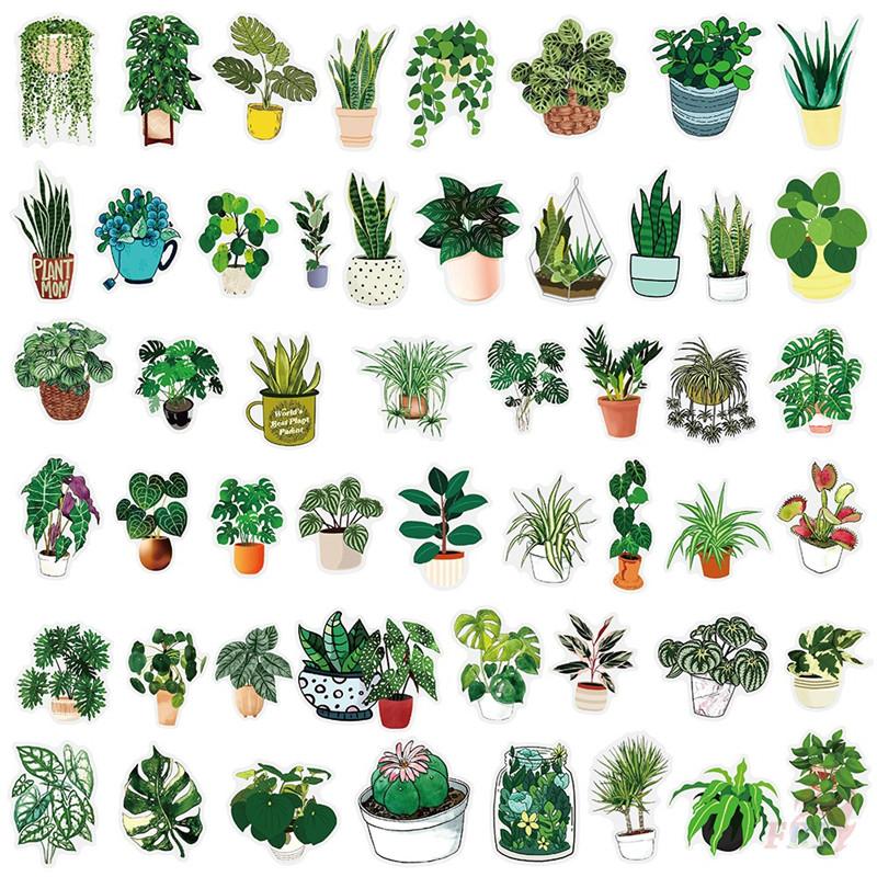 50 шт./Набор Зеленые комнатные растения ПЭТ наклейки Водонепроницаемые DIY Модные наклейки-каракули