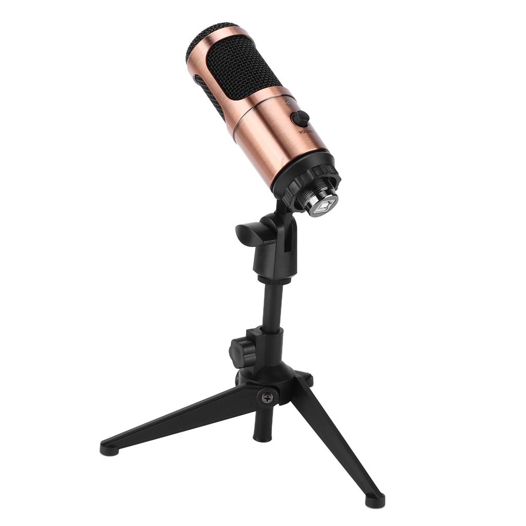 Condenser Microphone Kit with Tripod Stand USB Plug Recording Mic Live Broadcast Equipment