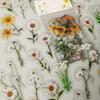 40pcs Plant Flower Leaf Decorative Sticker PET Hand Account Material Sticker Pack for Scrapbook Label Diary Stationery Album Tel