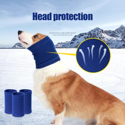 Psi – Péče o psa