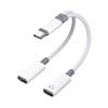 Zwei-Port-Typ-C-Adapter 60W Schnellladung HiFi-Tonübertragung Tragbar Reisefreundlich Breite Geräteunterstützung