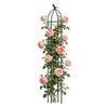 Plant Trellis Outdoor Rust Proof Decorative Frame Stakes Plant Stakes For Indoor For Outdoor Indoor Rose Clematis Vegetable