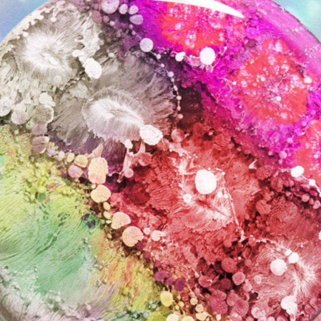 Metallic Alcoholinkt Set 12 Kleuren voor Epoxy Resin Kunst en Schilderen Geconcentreerde Glans Kleurstof voor Creatieve DIY Projecten