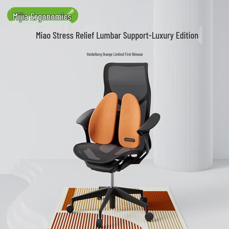 Miqiao Ergonomic Lumbar Support Back Cushion