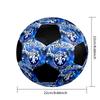 SV Darmstadt 98 Indoor Soccer Ball Colorful Machine Stitched PVC Size 5 Team Training Competition Ready Durable High-Bounce Cool Sports Gift