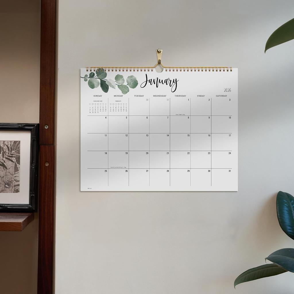 Cabbrix 2026 Wall Calendar, 12 Monthly Calendar Runs from January 2025 to December 2026, Home Schooling Planner for Family and School, Wirebound,15 x