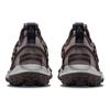 Nike Acg Mountain Fly Low Se 'Ironstone' Sneakers Casual Shoes DQ1979-001