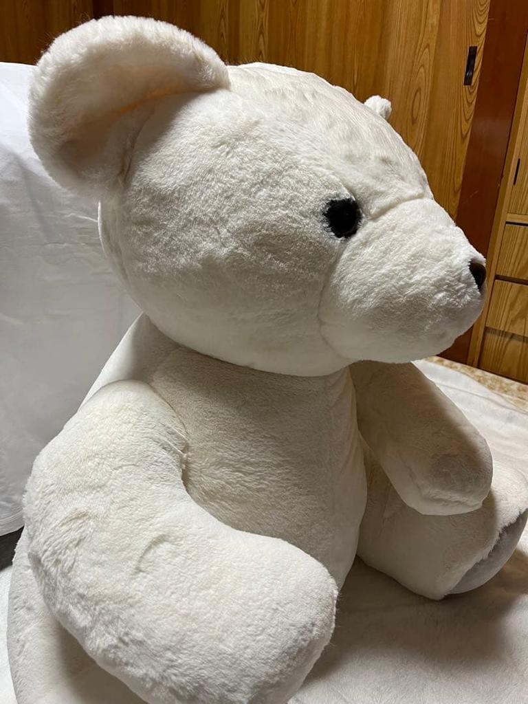 [USED] Teddy Bear