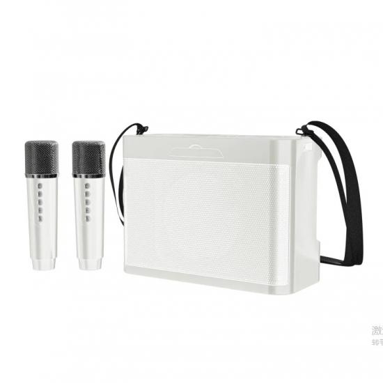 

20W Powerful Wireless Portable Dual Microphones Bluetooth Speaker Hifi Stereo Family Party Karaoke Subwoofer Boombox gifts 2026 білий