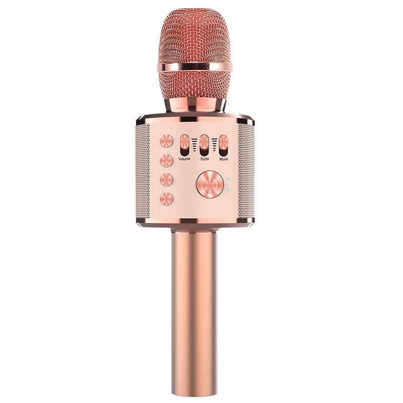Wireless Home Karaoke Microphone for Kids with Built-in Speaker