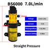 12V Agricultural Electric Spray Water Pump Small High-pressure Spraying Pump Self-priming Diaphragm Pump Pesticide Water Pump