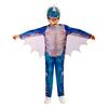 How To Train Your Dragon Childrens/Kids Nadder Costume Set