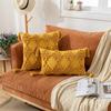 Tassel Cushion Cover 30x50cm /45x45cm Embroidered Throw Pillow Covers Home Decor Car Sofa Pillowcase For Living Room Beige Yellow