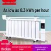 Energiesparender elektrischer wassergefüllter Heizkörper für Zuhause und Nordheizung