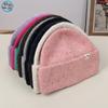New Autumn and Winter Warm and Comfortable Knitted Hat Women's Versatile Face Small Wool Hat Casual Warm Hat