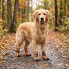 Soft Sole Dog Shoes Adjustable Strap Dog Anti-slip Paw Shoes Pet Rain Boots  Paw Protection