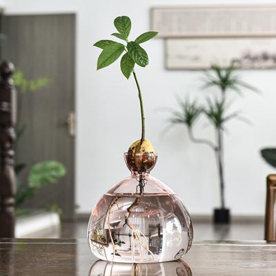 1PC Seed Growing Kit Gift For Gardening Lovers Home Decor Transparent Glass Vase