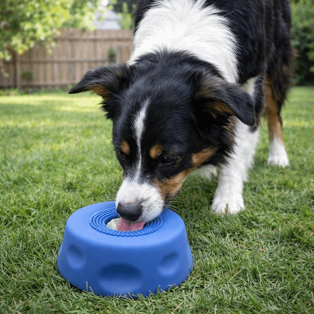 Food-Grade Silicone Pet Feeding Bowl Anti-slip Liquid Slow Dog Bowls Dog Treat Bowl  Wet Snack