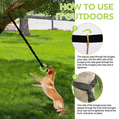 Dog Hanging Bungee Tug Toy Interactive Tree Hanging Tether Tug-of-War Toy with Chew Toys Indoor Self Play Spring Rope for Large And Medium Dogs