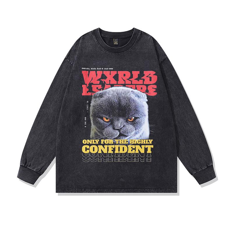 American Hiphop Street Tide Brand Spoof Cat Print Casual Ins Couple Washed Long Sleeve T-Shirt Men And Women