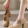 Retro versatile high heels women's 2025 spring new fashion Mary Jane French word with thick heel platform single shoes