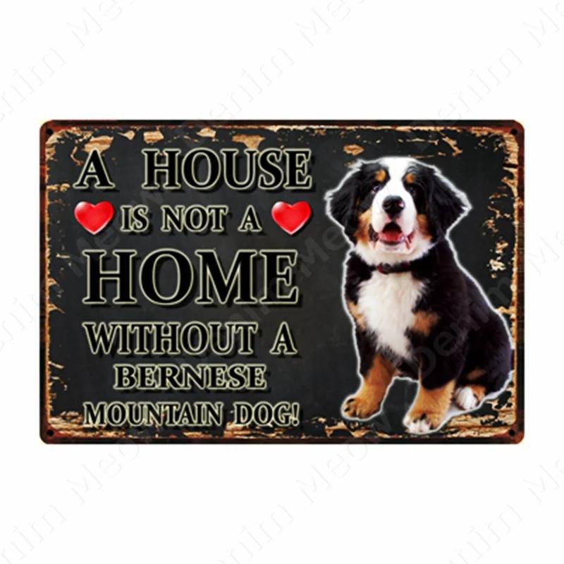 A House Is Not A Home Without A Dog Plaque, Vintage Metal Tin Signs, Bar, Cafe, Home Decor, Springer Spaniel, Wall Art Poster