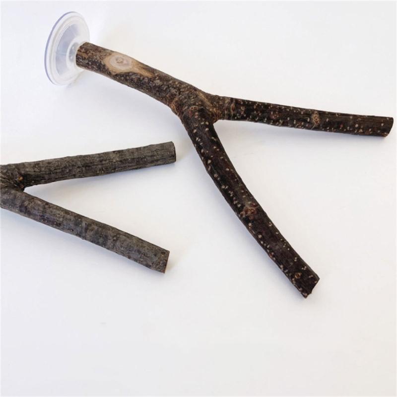 3pcs Parrots Stand Poles Adjustable Parrots Stand Interactively Bird Playing Toy for Outdoor Traveling Parrots Play Stand