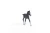 Schleich Horse Club Trakehner Ages Realistic Horse Animal Toy 13944 (foal) Figure, 6+,