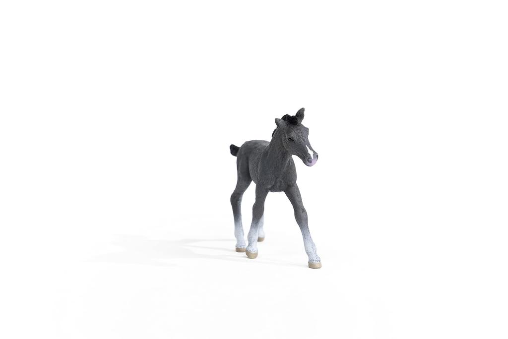 Schleich Horse Club Trakehner Ages Realistic Horse Animal Toy 13944 (foal) Figure, 6+,