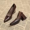 2026 New Spring Women Commuter Pumps Shoes Fashion Pointed Toe Slip On Shoes Elegant Thick Heel Work Leather Shoes