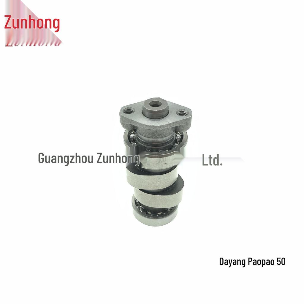 Motorcycle Camshaft for Dayang Paopao 50