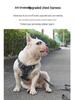 Adjustable Anti-Breakaway Pet Harness and Leash Set for Dogs and Cats