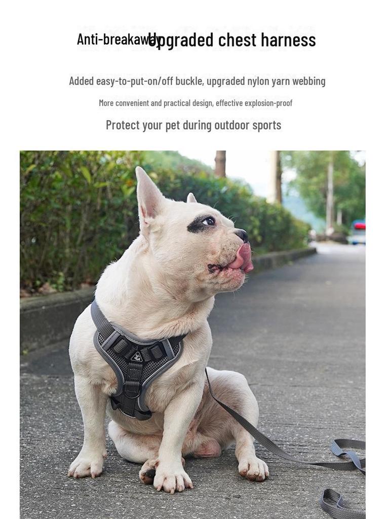 Adjustable Anti-Breakaway Pet Harness and Leash Set for Dogs and Cats