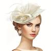 Elegant Black Mesh & Feather Fascinator Hat for Women - Chic Updo Accessory with Bow Detail, Perfect for Weddings, Parties, and Formal Events
