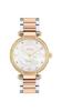 Coach CARY 14504137 Rose Gold Watch Women's
