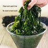 Shengyuanlai Asian Specialty Foods Collection