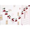 Bayberry Felt Ball Handmade Garland String Hanging Ornaments Hair Ball Wall Hanging Pendant Kids Room Decoration