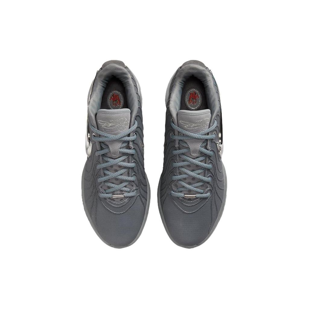 Nike LeBron 21 EP Resilience Unisex Sneakers Grey Cool-Grey Iron-Grey HF5352-001
