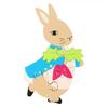 Peter Rabbit Wooden Mini Puzzle