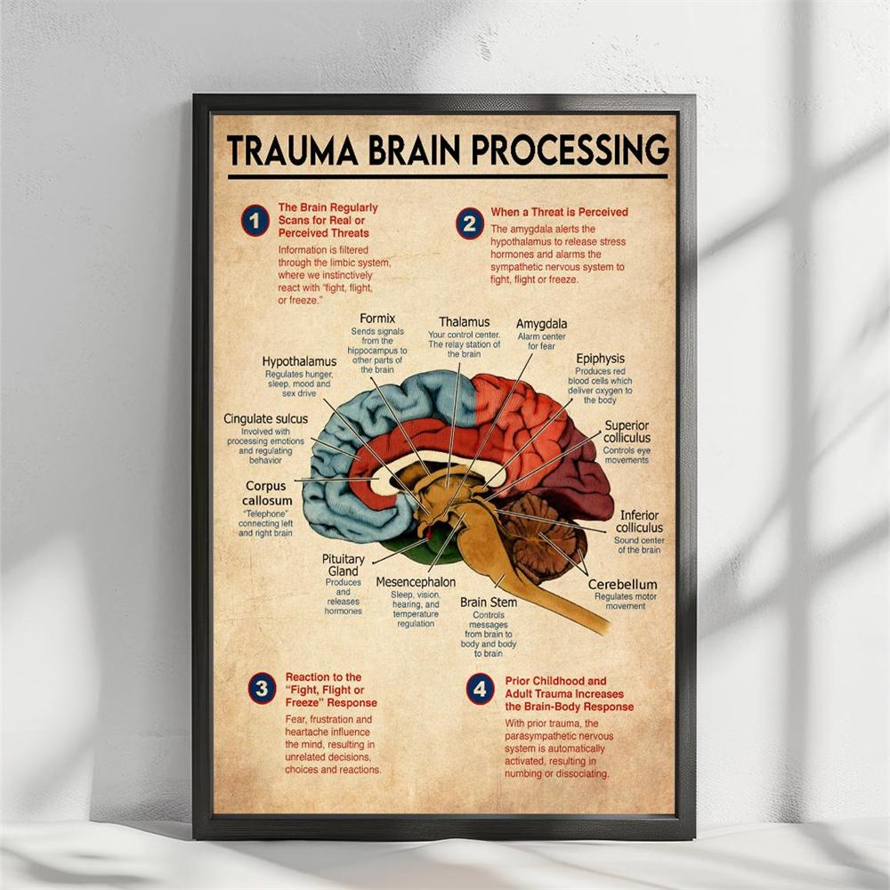 Trauma Brain Processing Poster Brain Anatomy Print Mental Health Wall Art Nervous System Canvas Painting Brain Anatomy Poster 21X30CMNo Framed