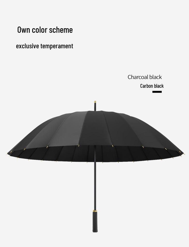 Windproof Double Canopy Umbrella with 24 Ribs and Long Handle