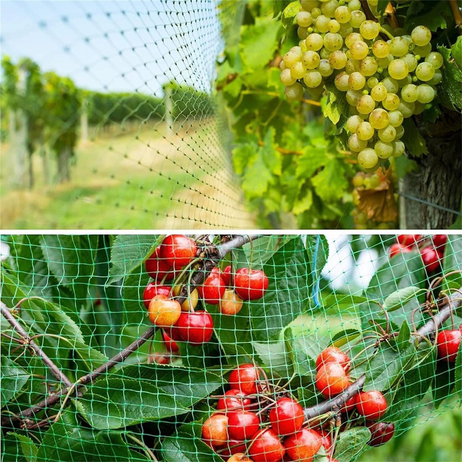 

Садовая сетка для защиты от птиц, Многоразовый забор для фруктовых и овощных растений, Защитная сетка для садовых культур, Укрытие для растений на открытом воздухе S зелёный